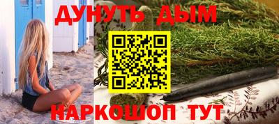 сатива Будённовск